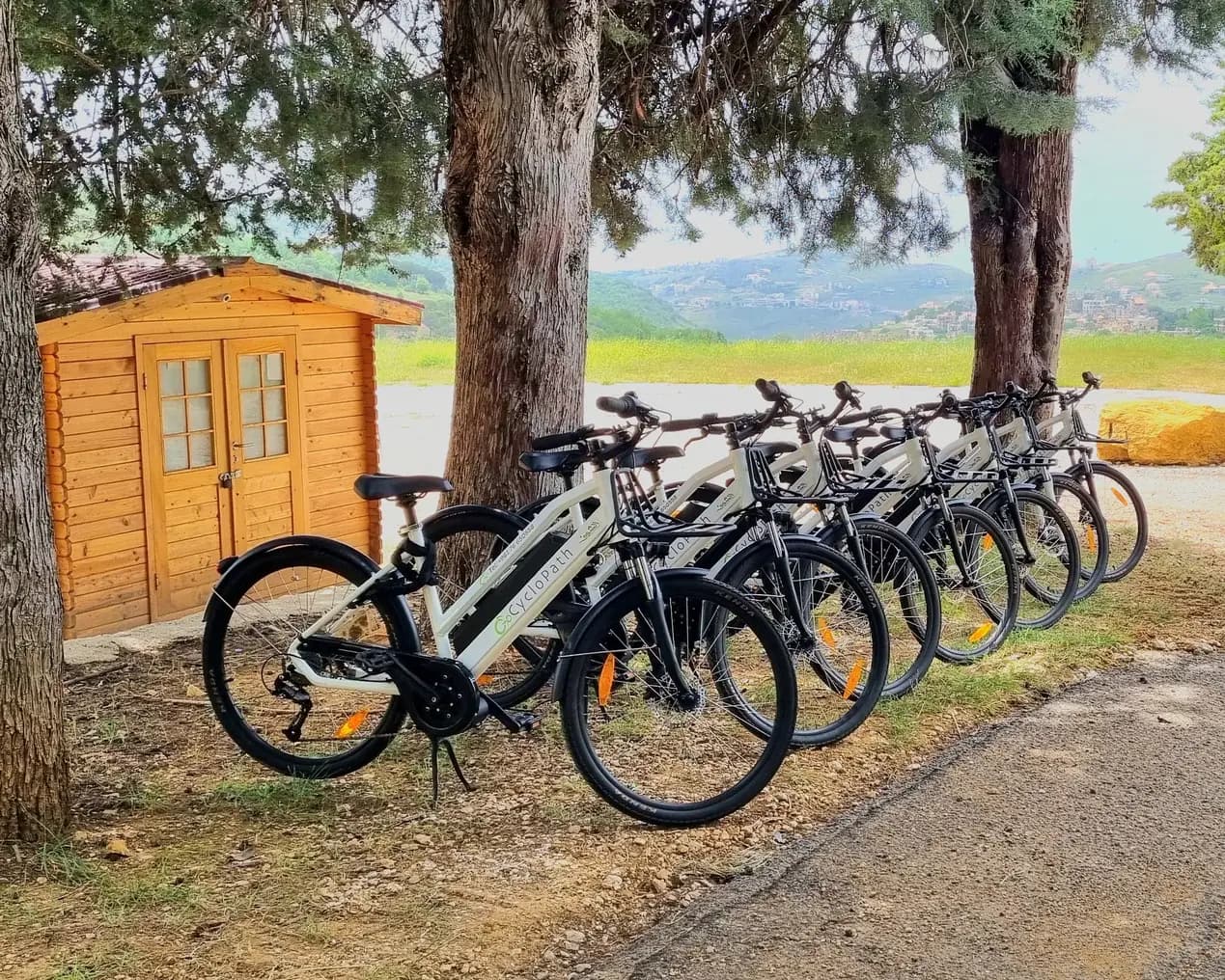 Cyclopath e‑bikes