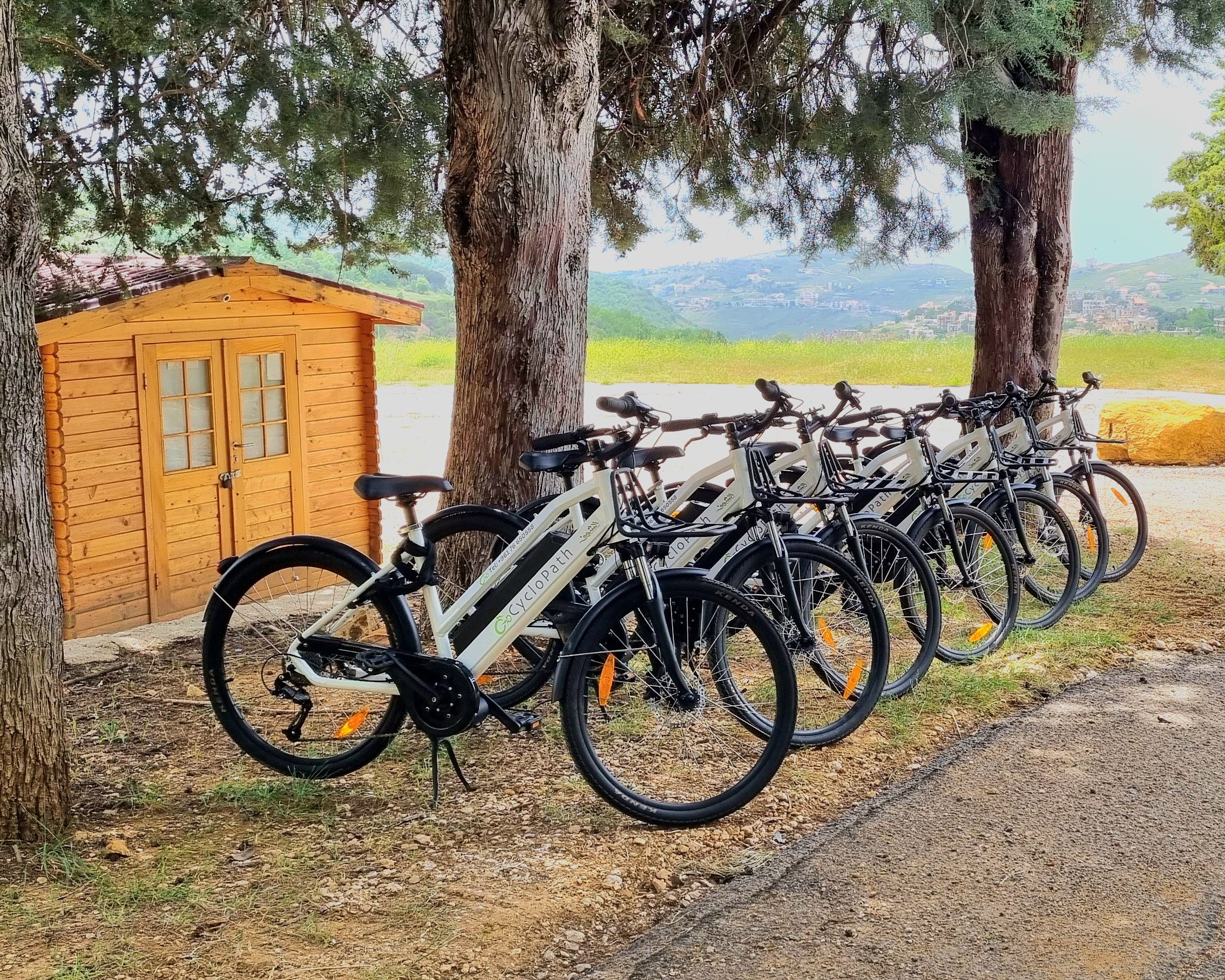 Cyclopath e‑bikes